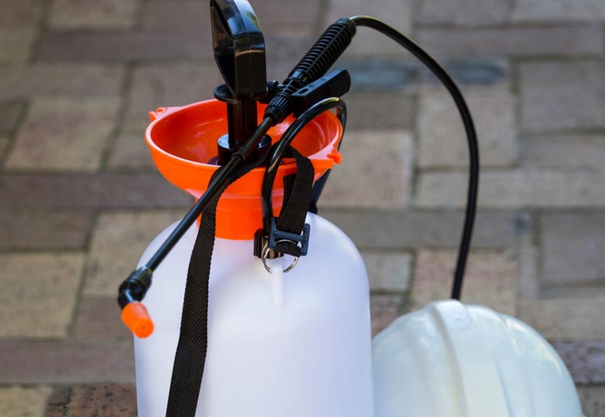 مكافحة الفئران