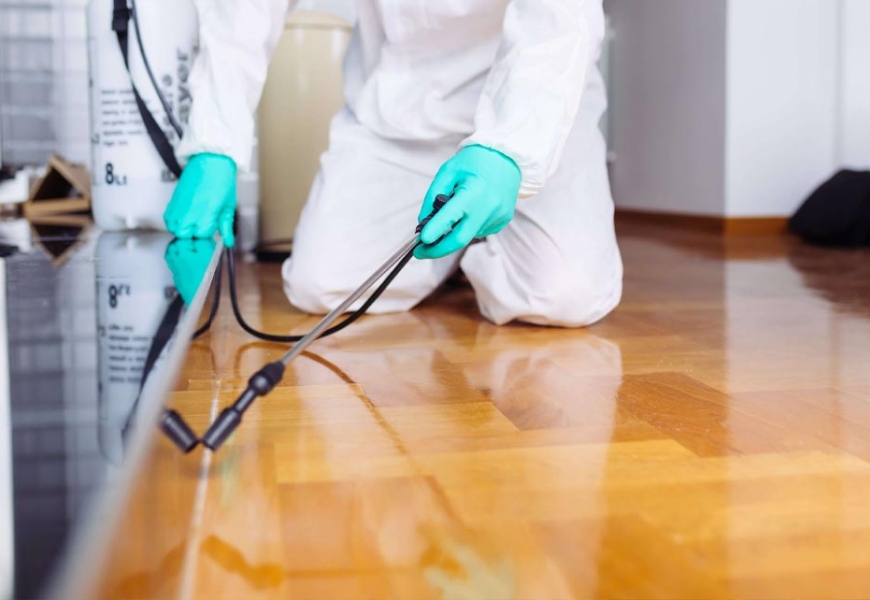 مكافحة الابراص