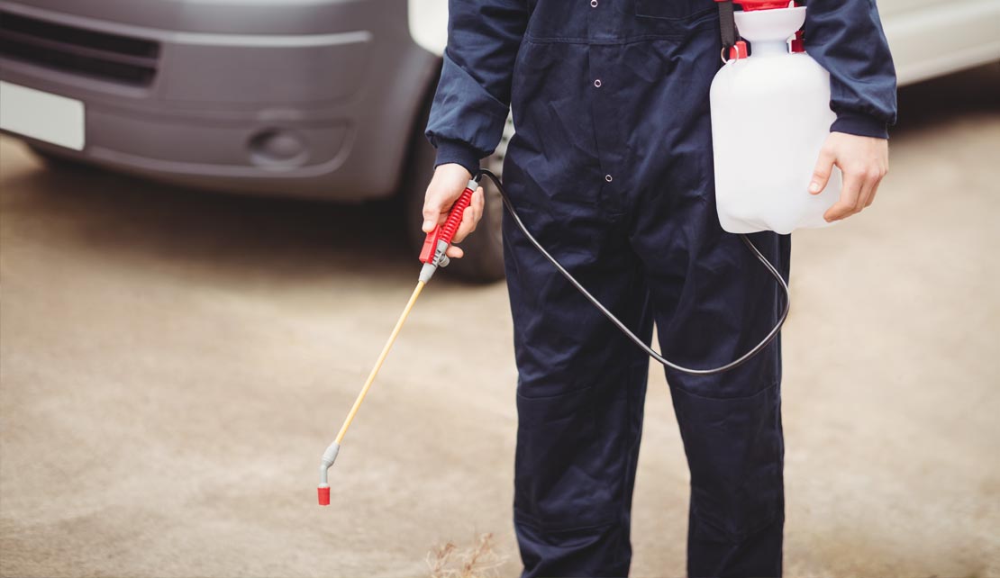 مكافحة الصراصير