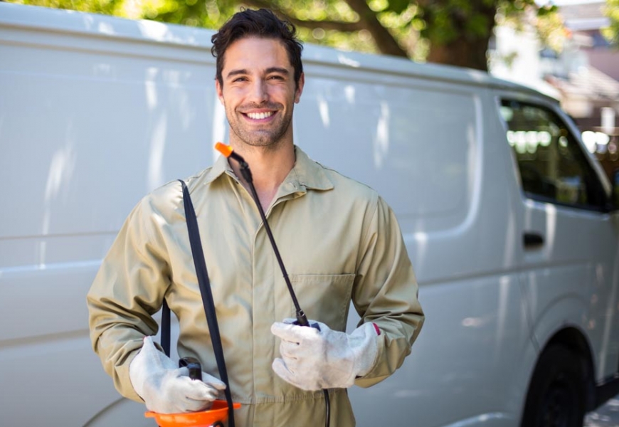 مكافحة الحشرات