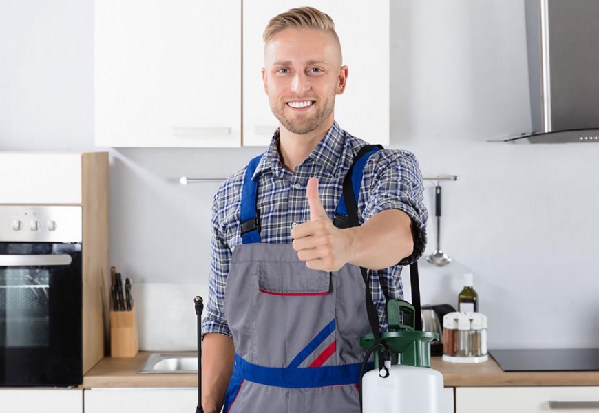 مكافحة النمل